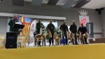 El català Albert Llaveria subcampió d’Espanya de Podencs Eivissencs